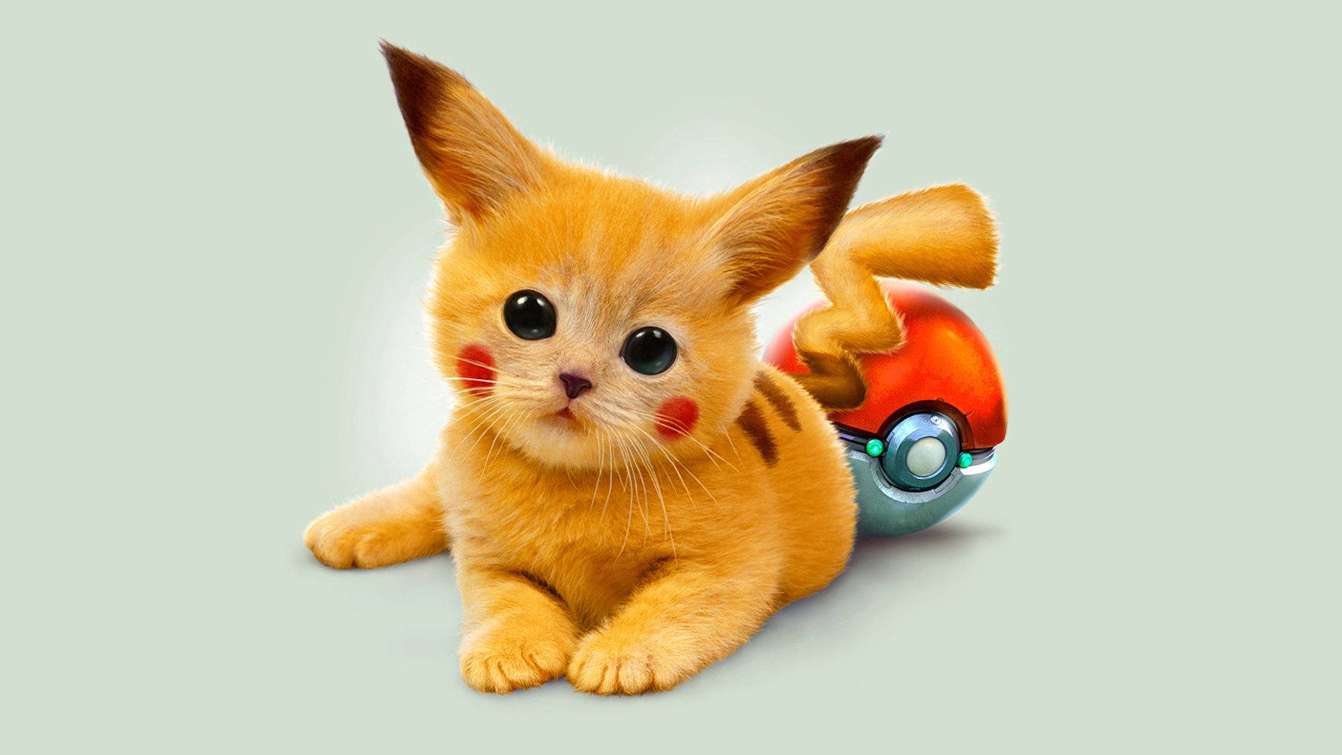 Sød og kærlig Pikachu-kat Wallpapers