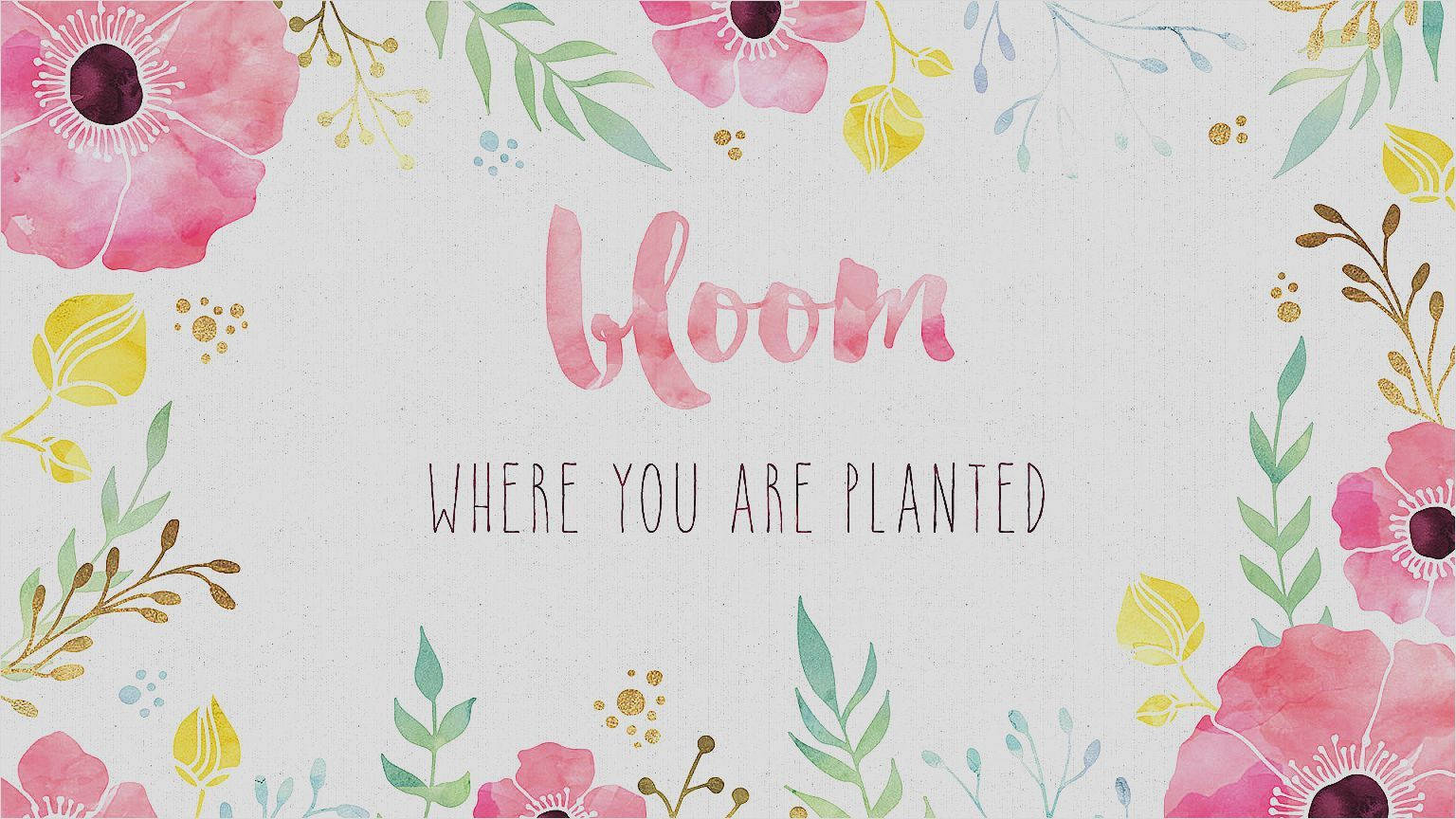 Sød piget blomstring Wallpapers