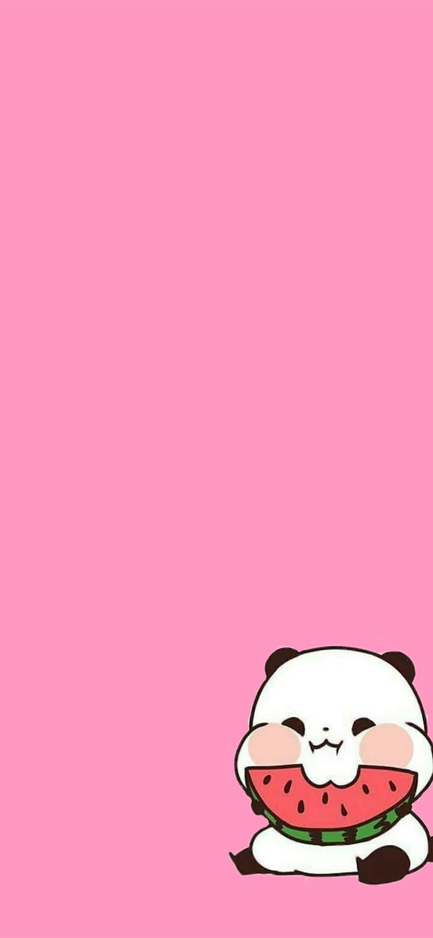 Sød piget panda lyserød vandmelon Wallpapers