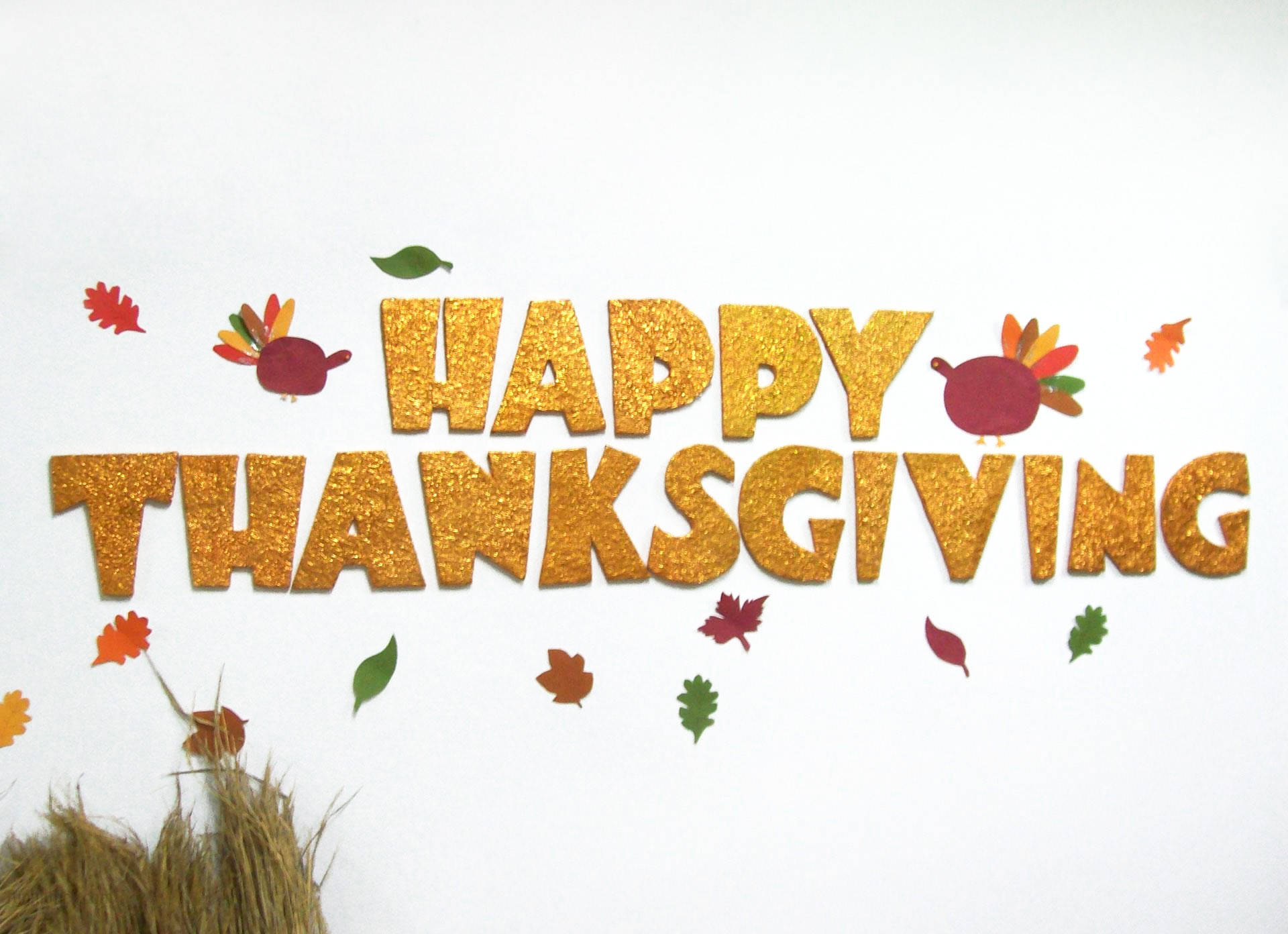 Sød pink Thanksgiving-fugl Wallpapers