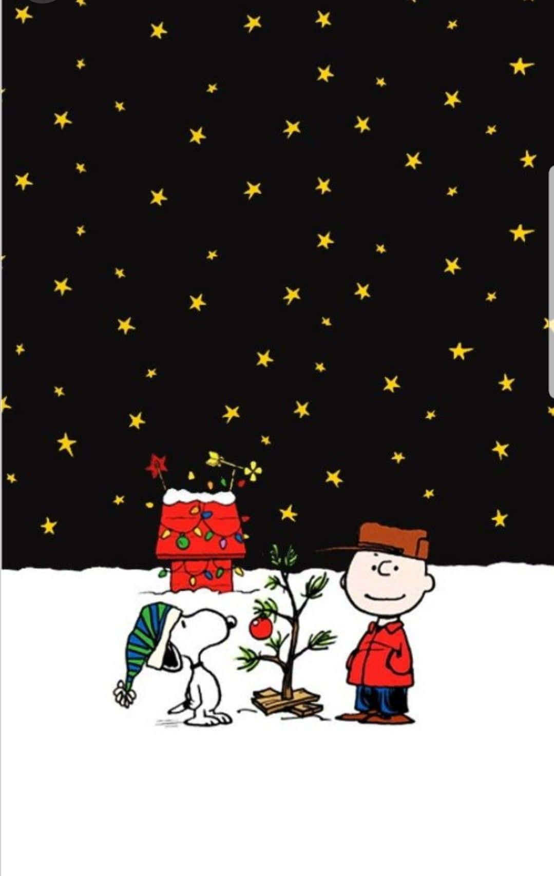 Sød Snoopy juleaften med stjerner på mørk himmel Wallpapers