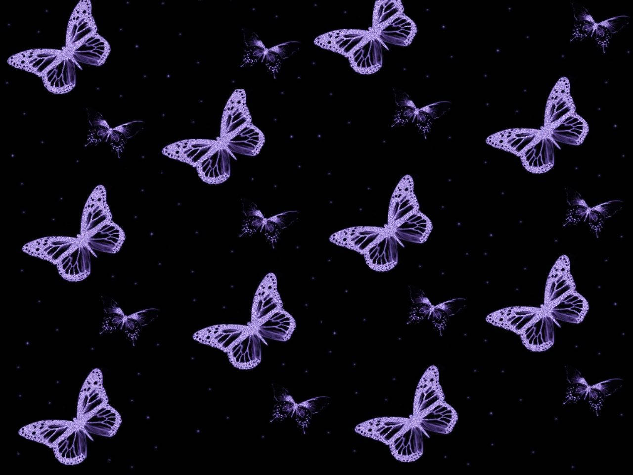 Sød sort-lilla sommerfuglemønster Wallpapers