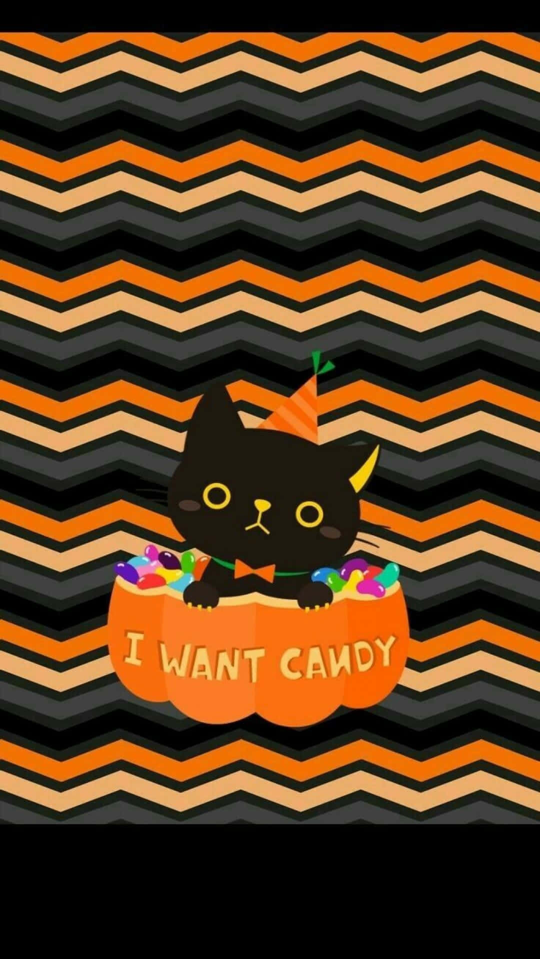 Sød æstetisk Halloween-sort kat i et græskar Wallpapers