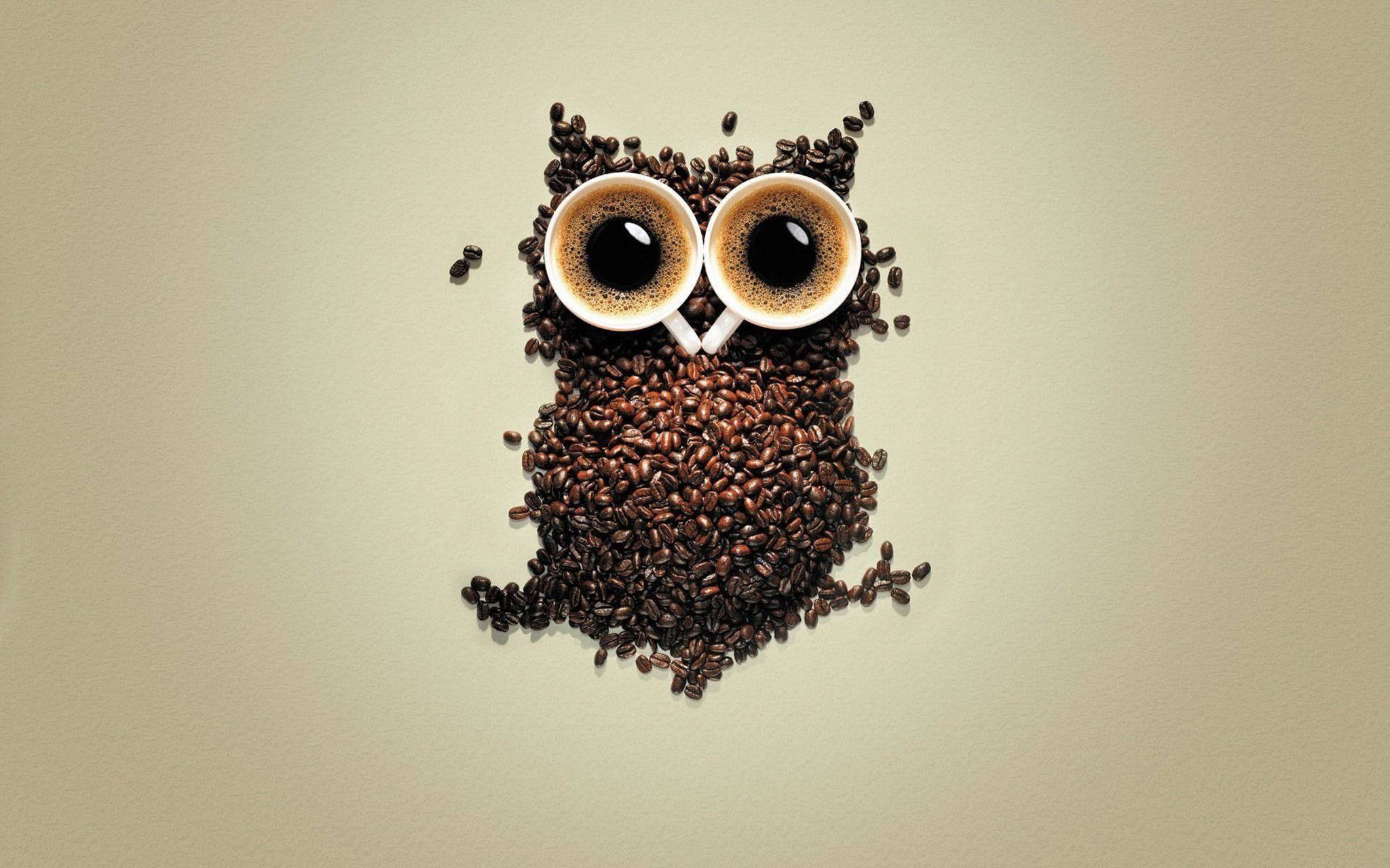Sød ugle kaffekunst Wallpapers