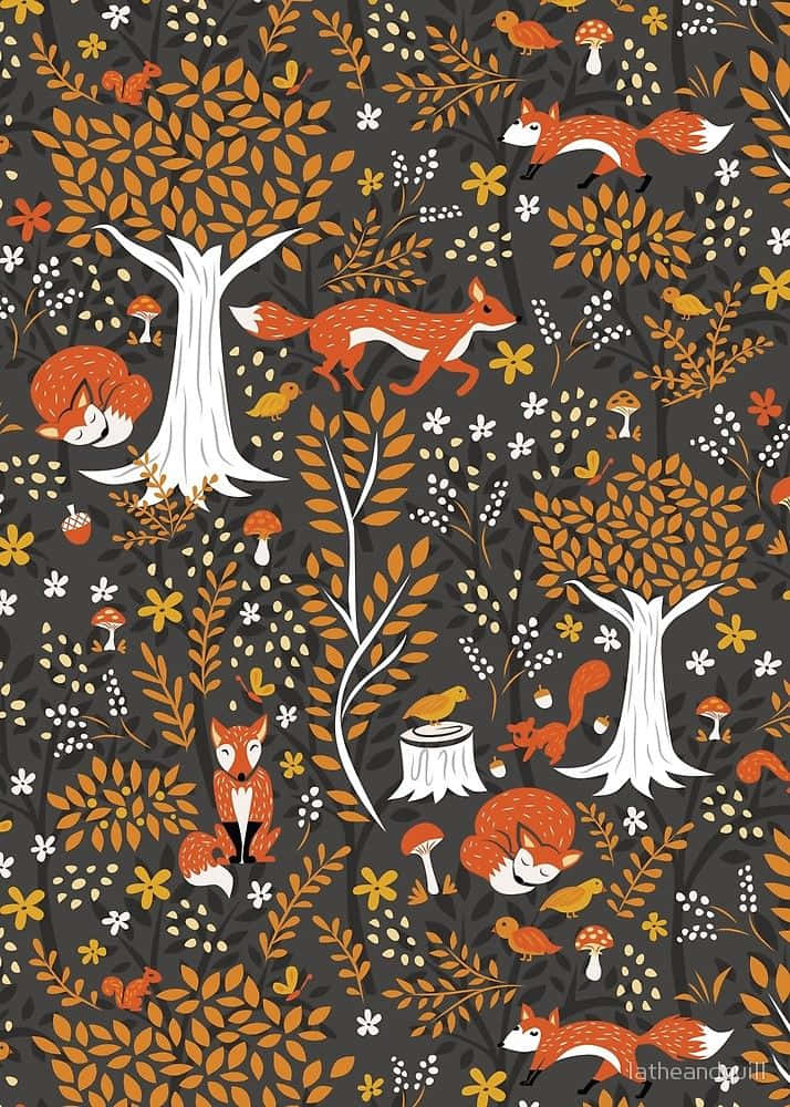 Søde efterårsbilleder Wallpapers