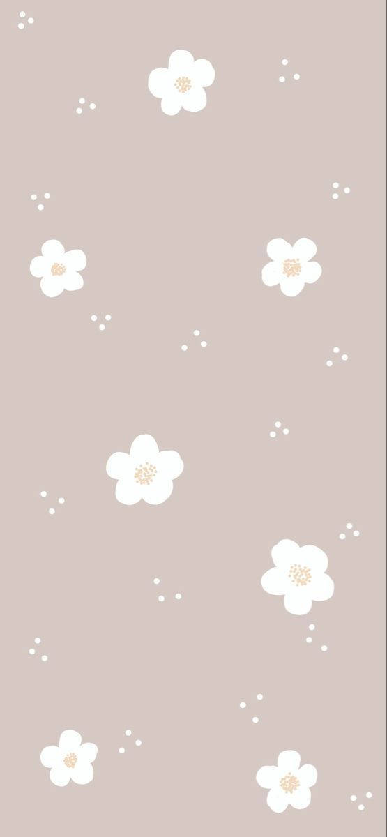 Søde enkle hvide blomster uden stængler Wallpapers