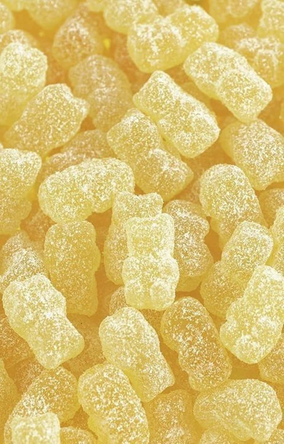 Søde pastelgule vingummibamser Wallpapers