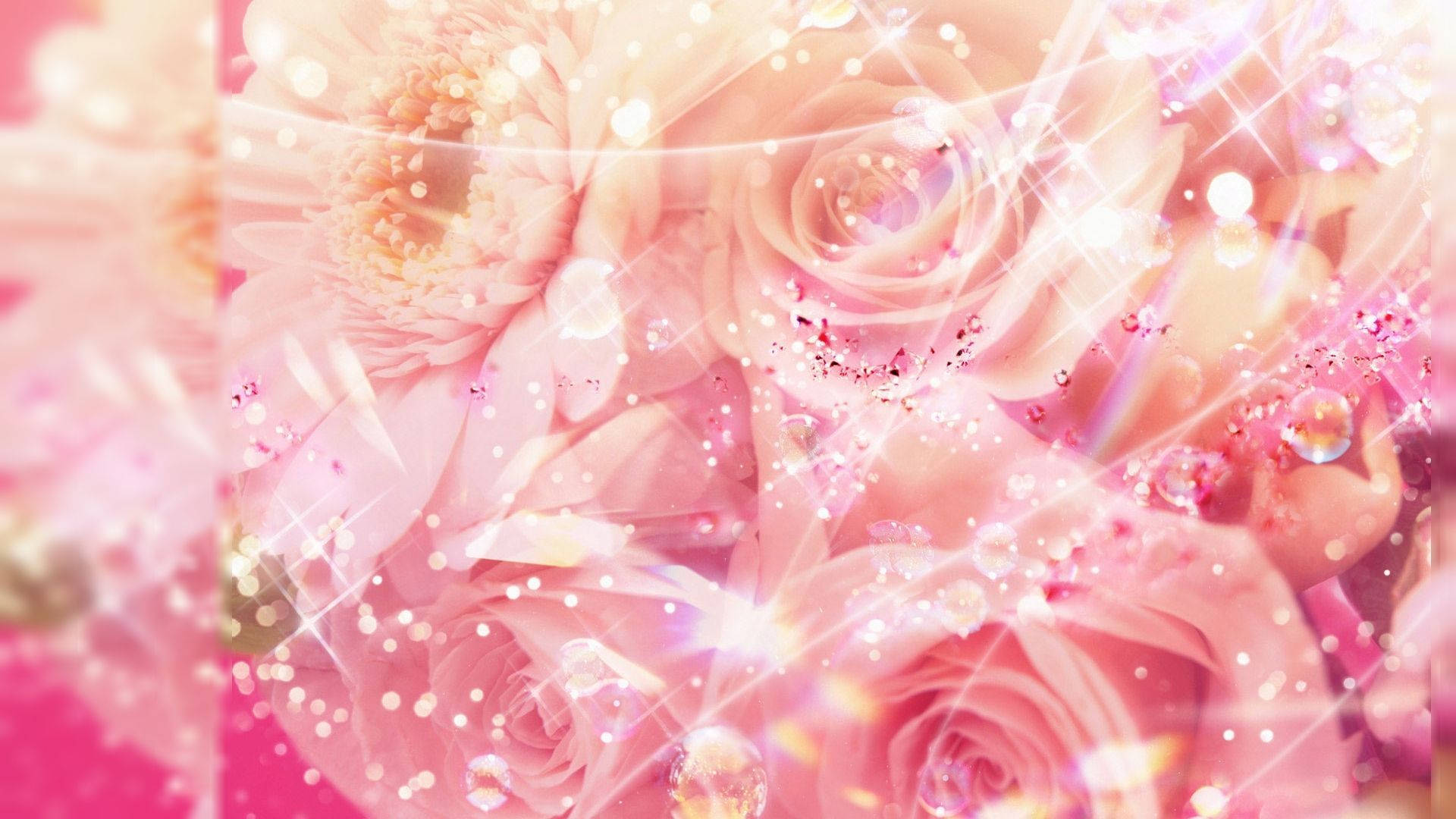 Søde pigelige roser Wallpapers