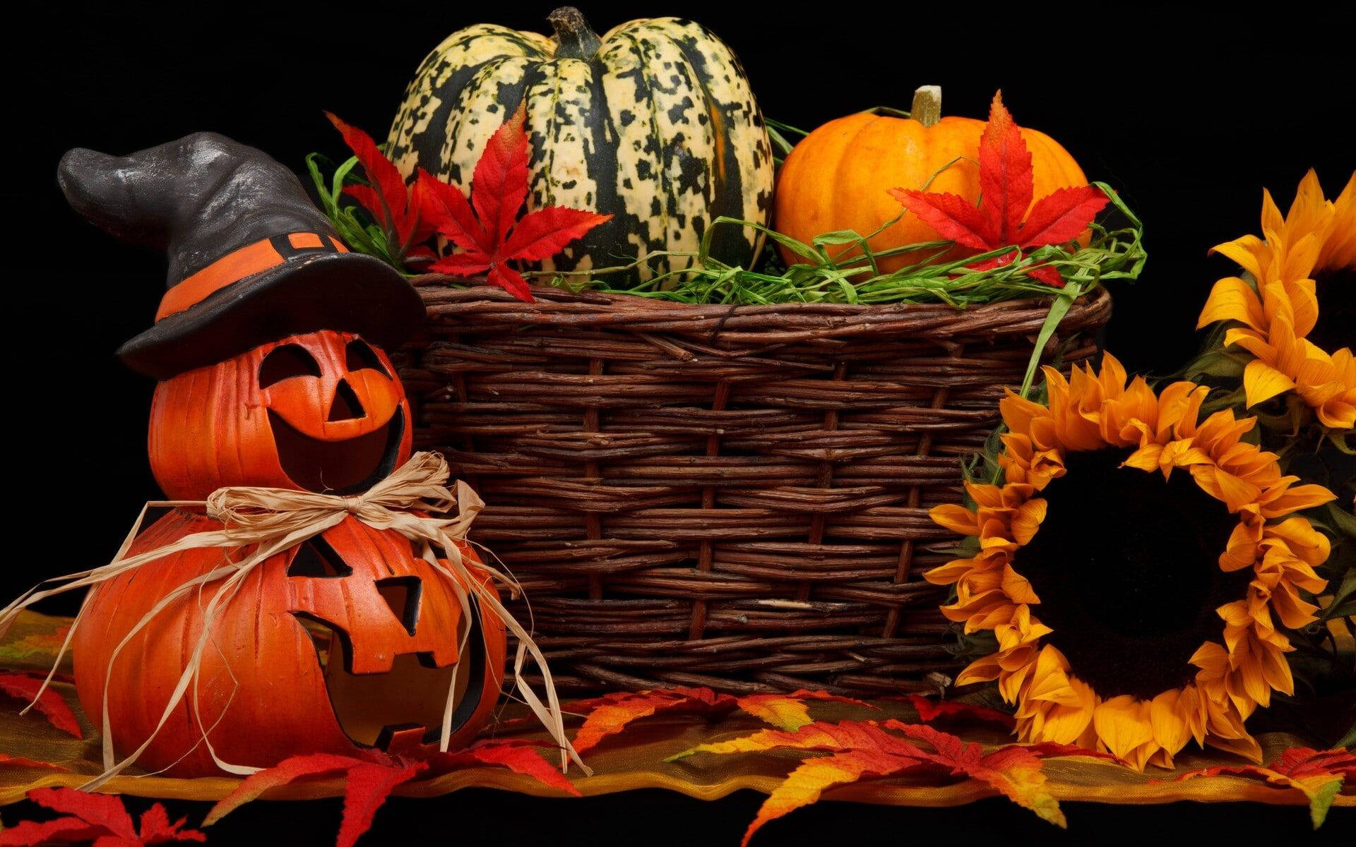 Søde æstetiske Halloween-græskar og blomster Wallpapers
