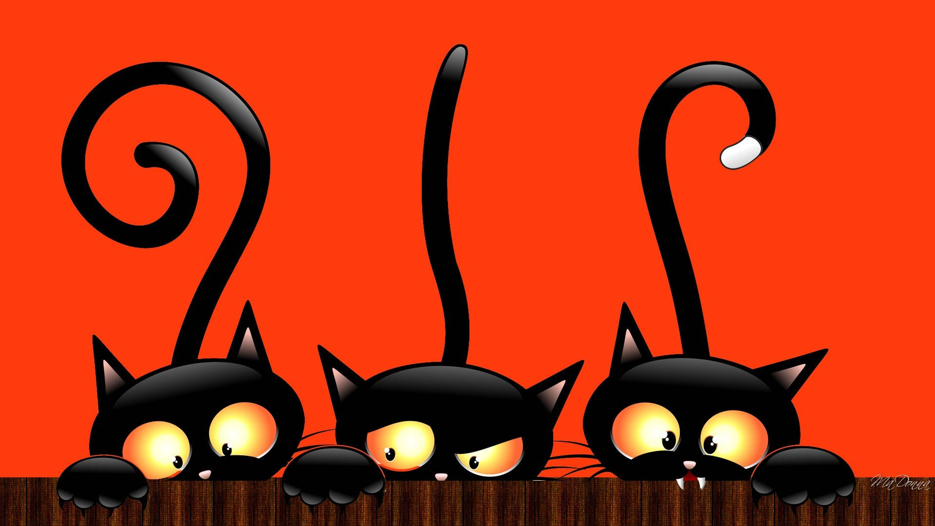 Søde æstetiske Halloween-sorte katte Wallpapers