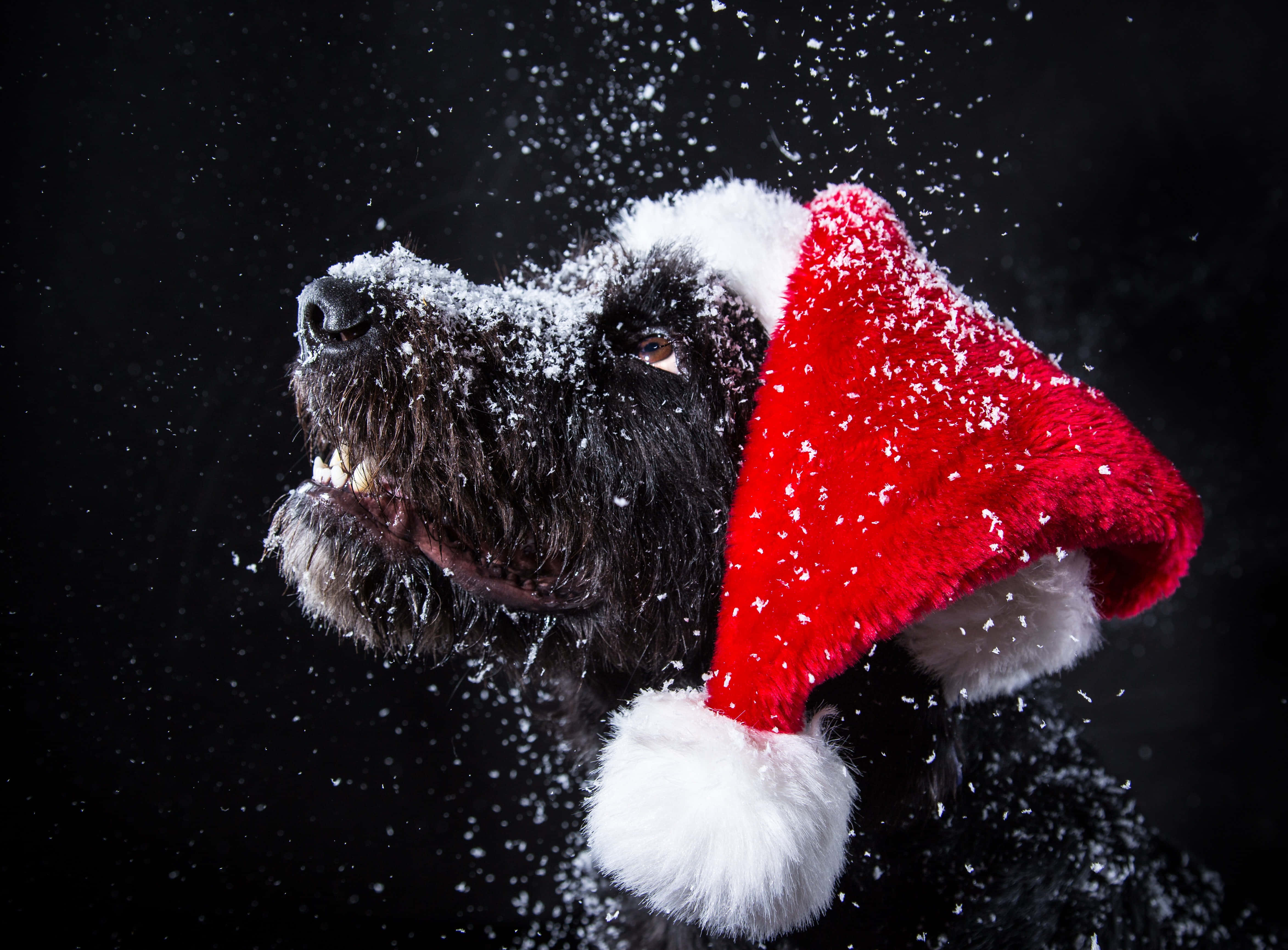 Søde æstetiske julebilleder Wallpapers