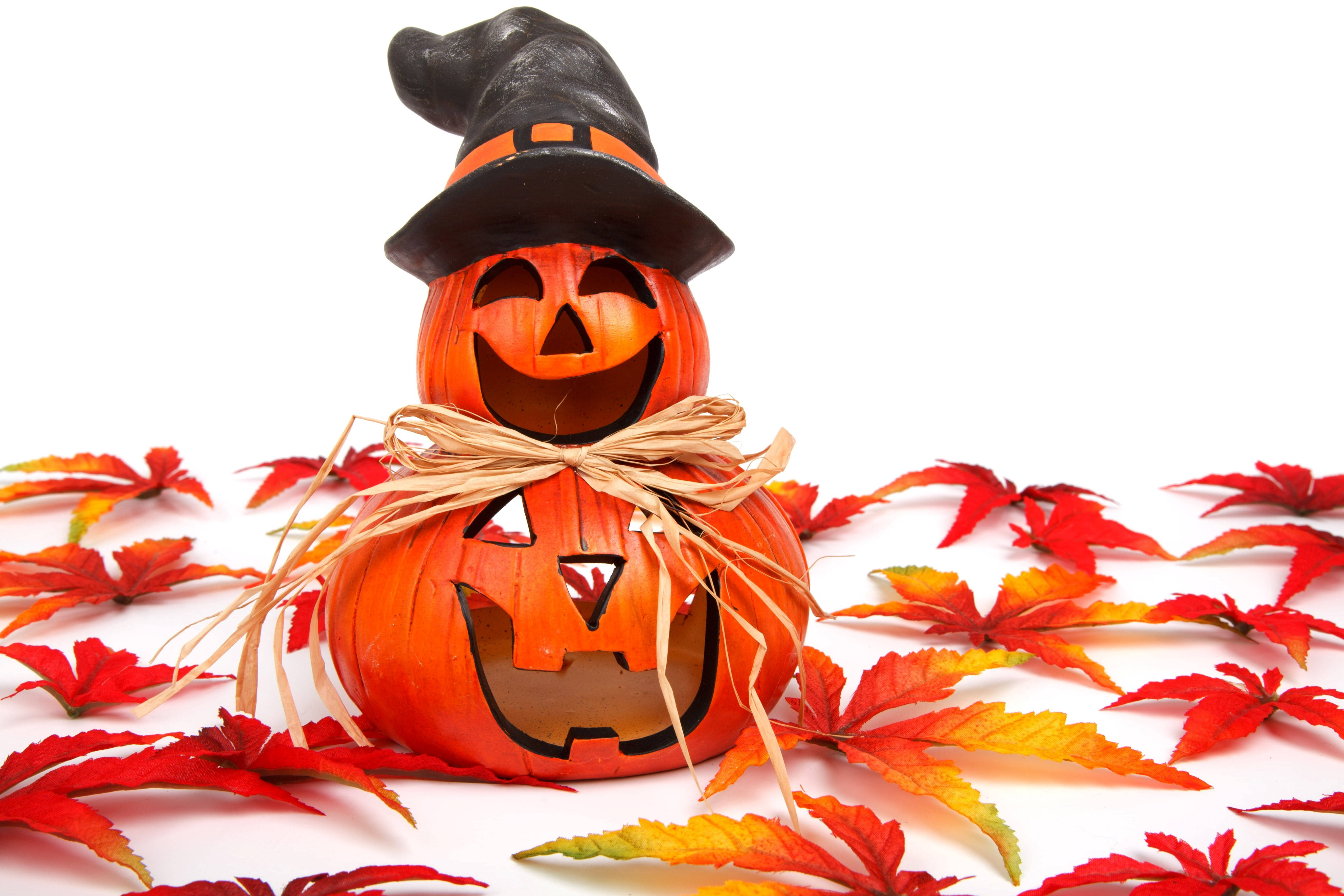 Sødt Halloween efterårs Jack O' Lantern Wallpapers
