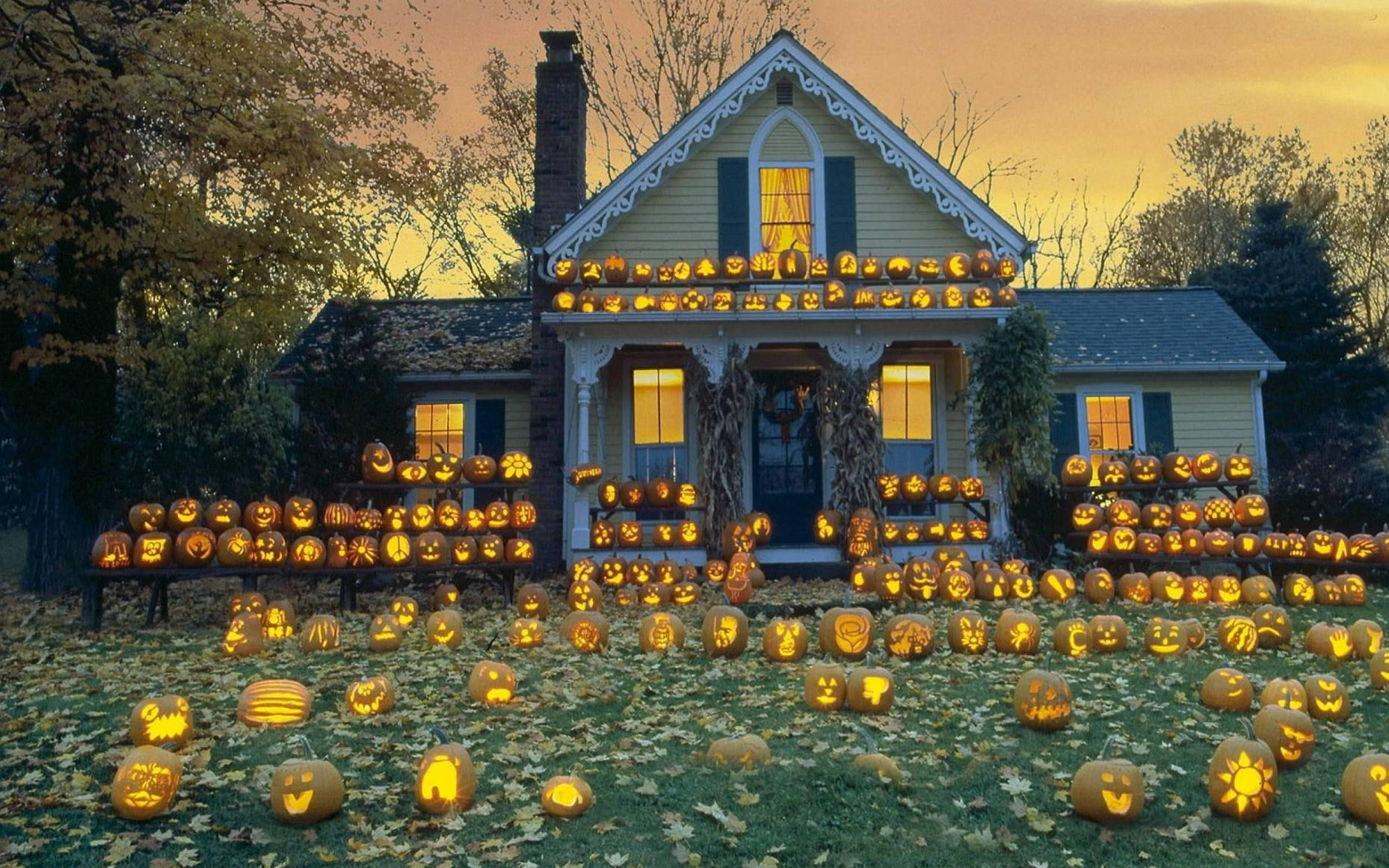Sødt Halloween-hus med Jack O' Lantern-græskar Wallpapers