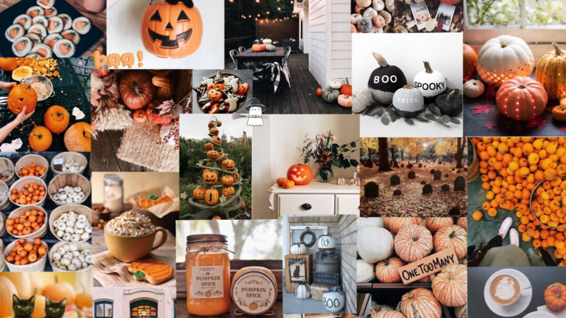 Sødt æstetisk Halloween-græskar collage Wallpapers