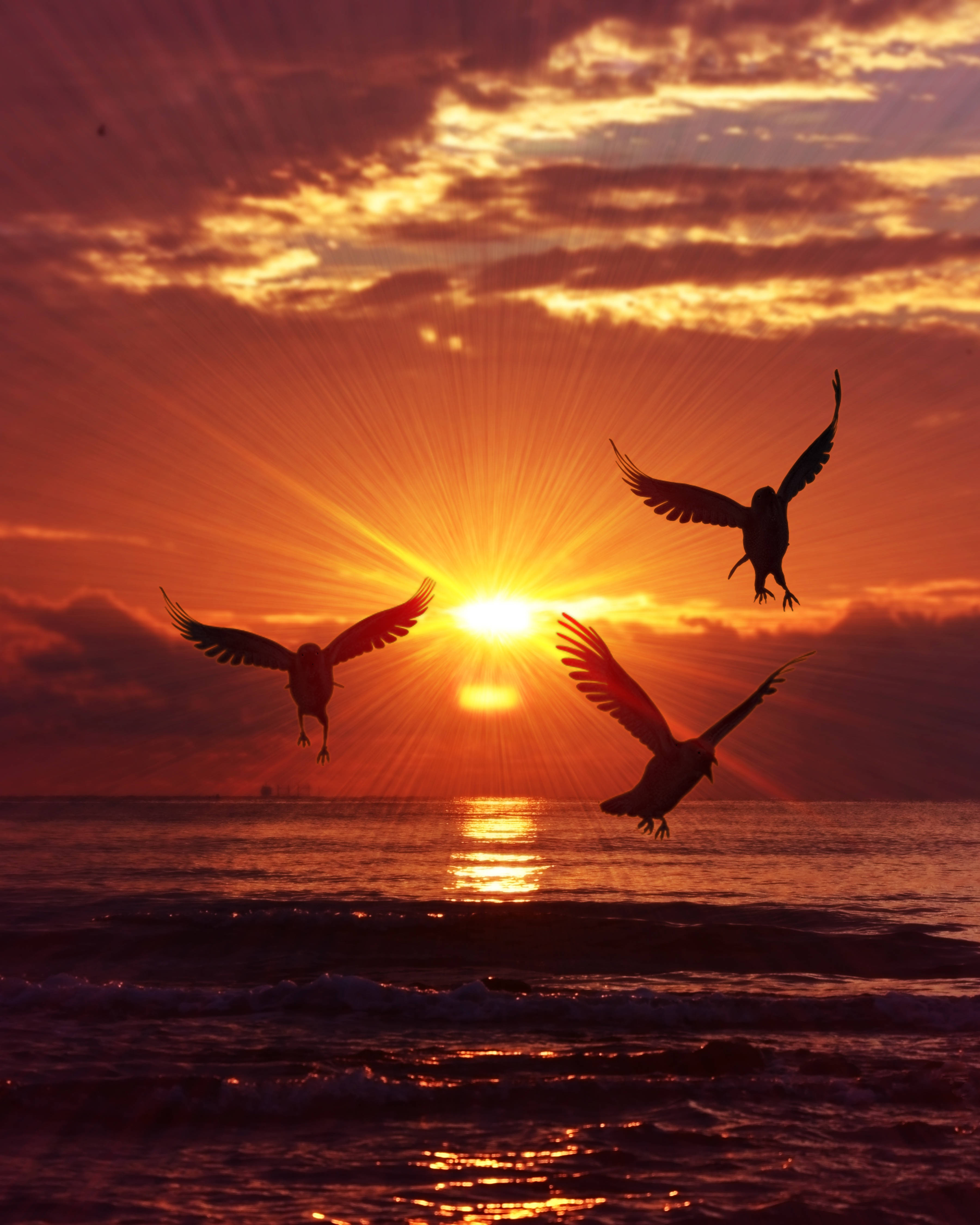 Se den smukke solopgang med silhuetter af fugle, der flyver mod den storslåede himmel. Wallpapers