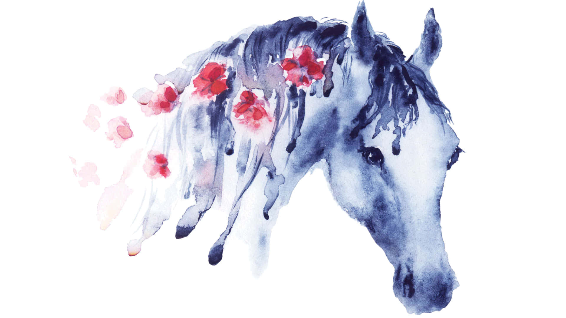 Se denne nuttede hest! Wallpapers