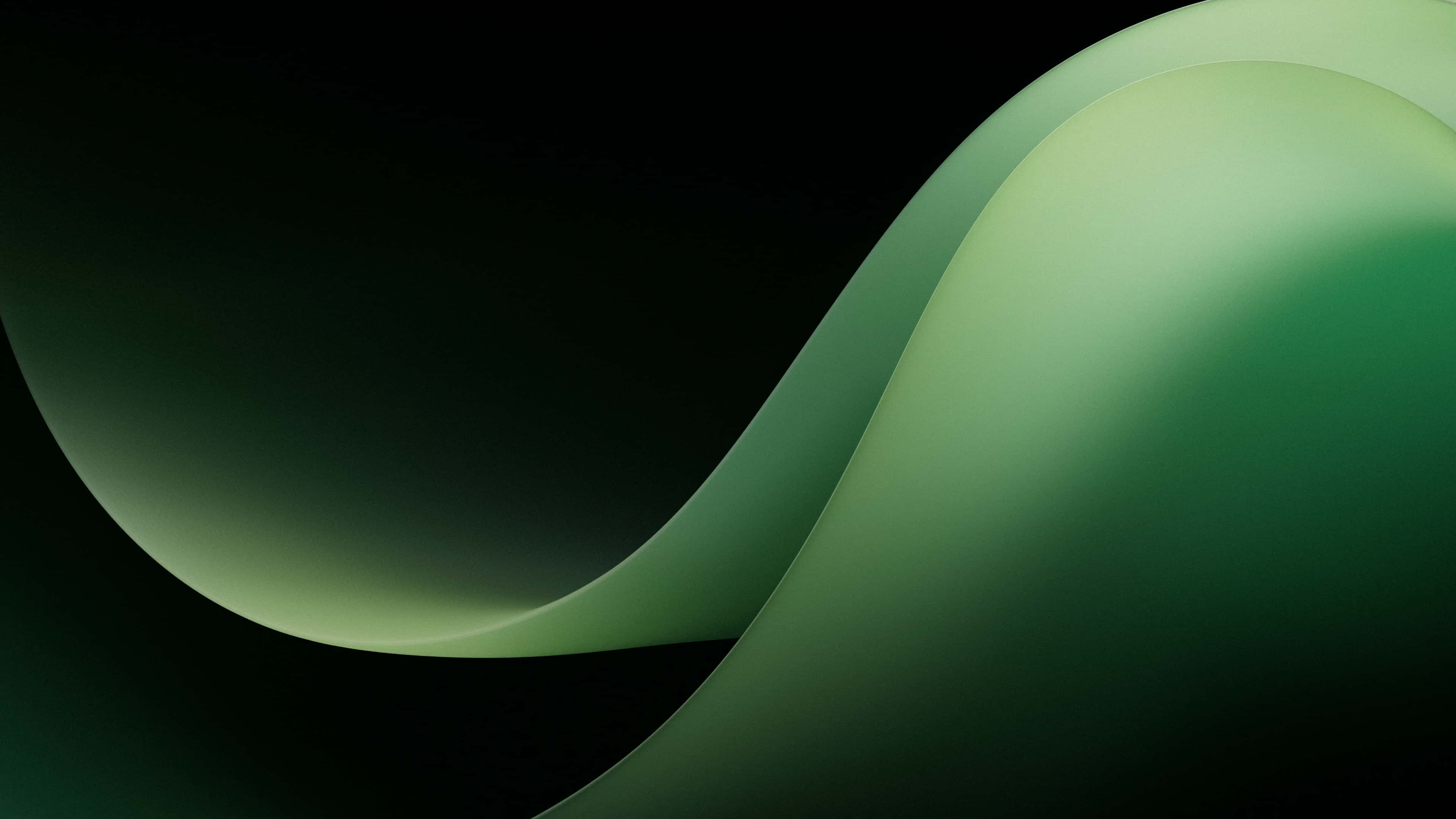 Se denne smukke mørkegrønne baggrund Wallpapers