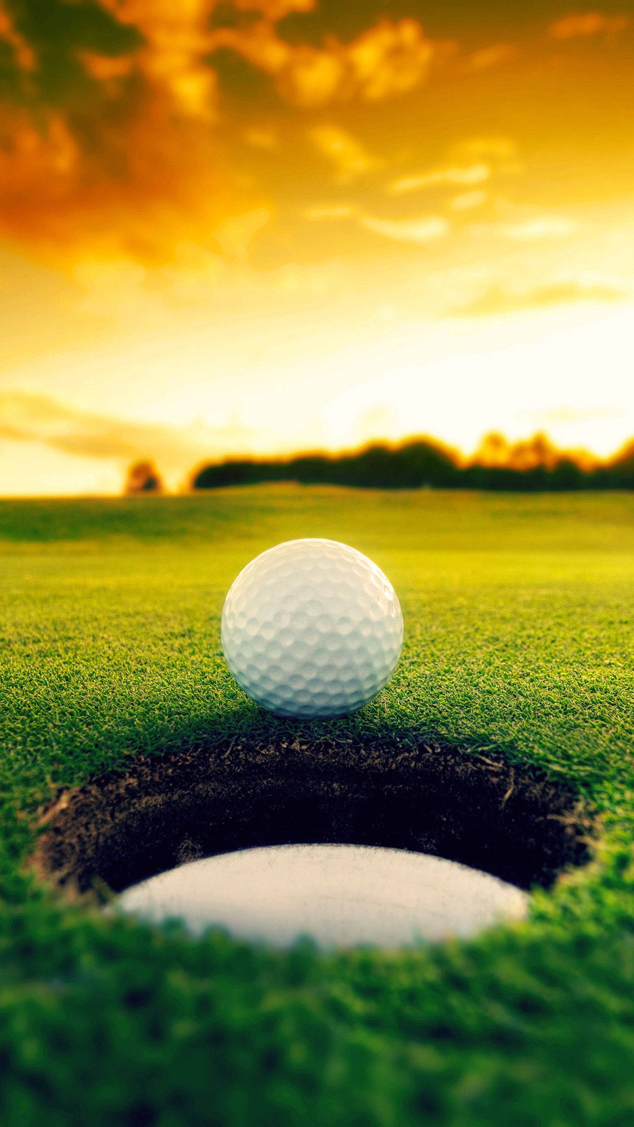 Sej golfbold ved siden af målet Wallpapers
