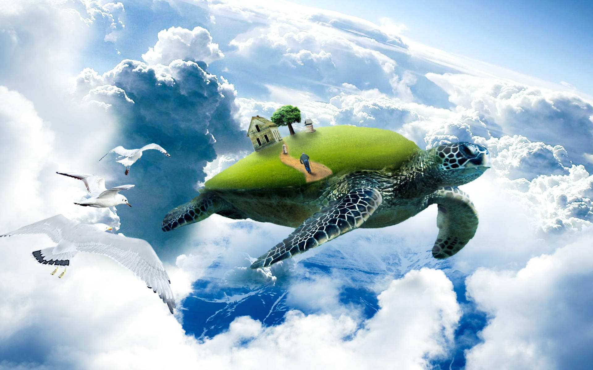 Sej skildpadde flyvende over skyerne Wallpapers
