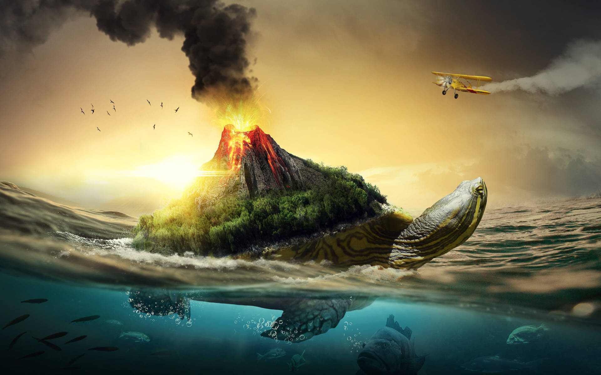 Sej skildpadde med vulkan Wallpapers