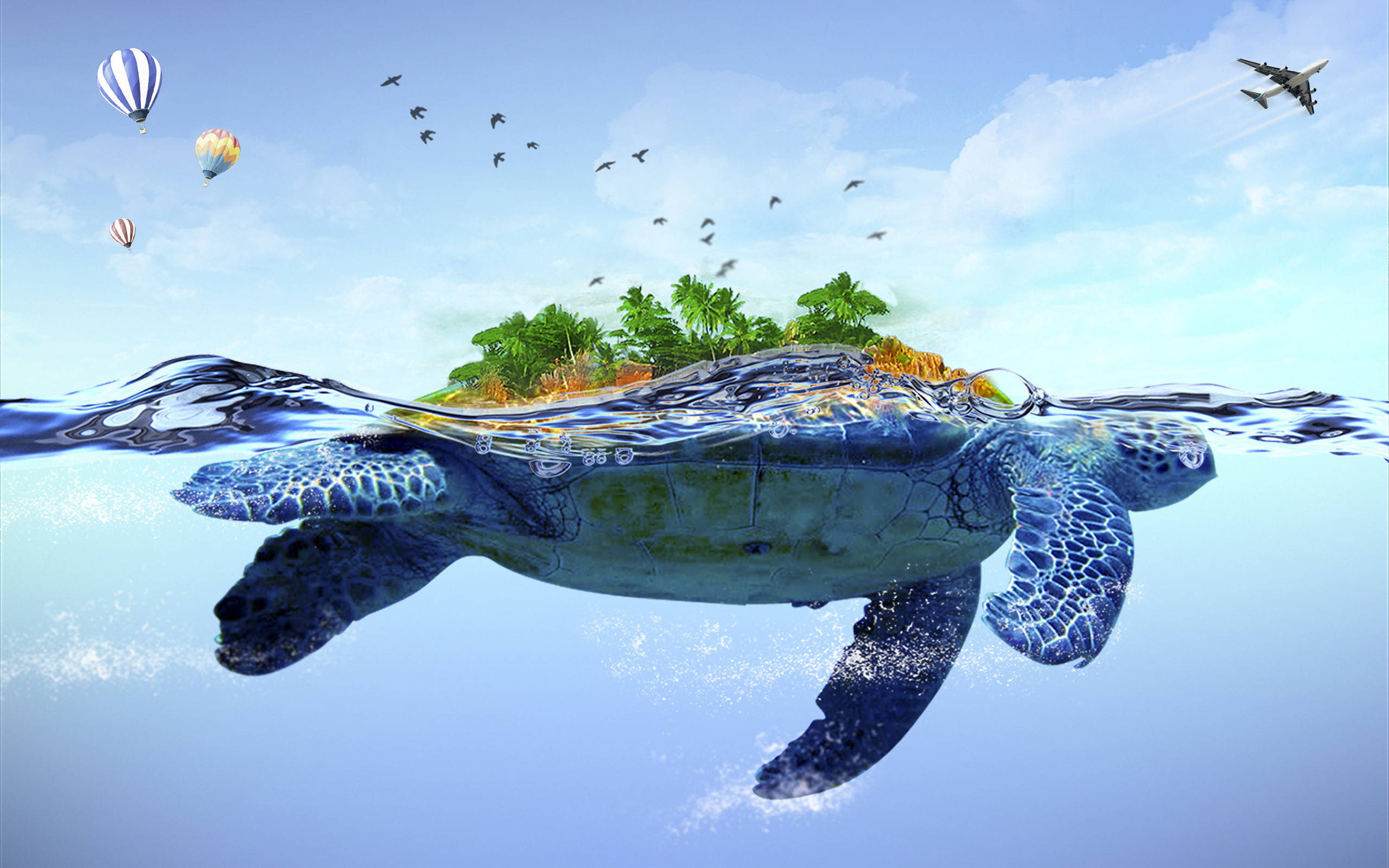 Sej skildpadde med ø Wallpapers