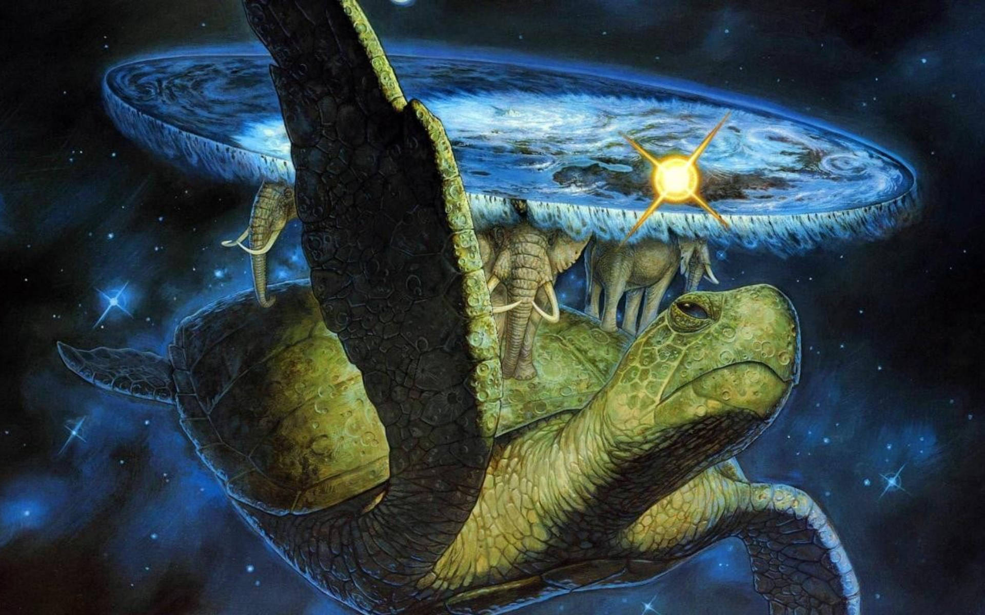 Sej skildpadde og elefant kunst Wallpapers