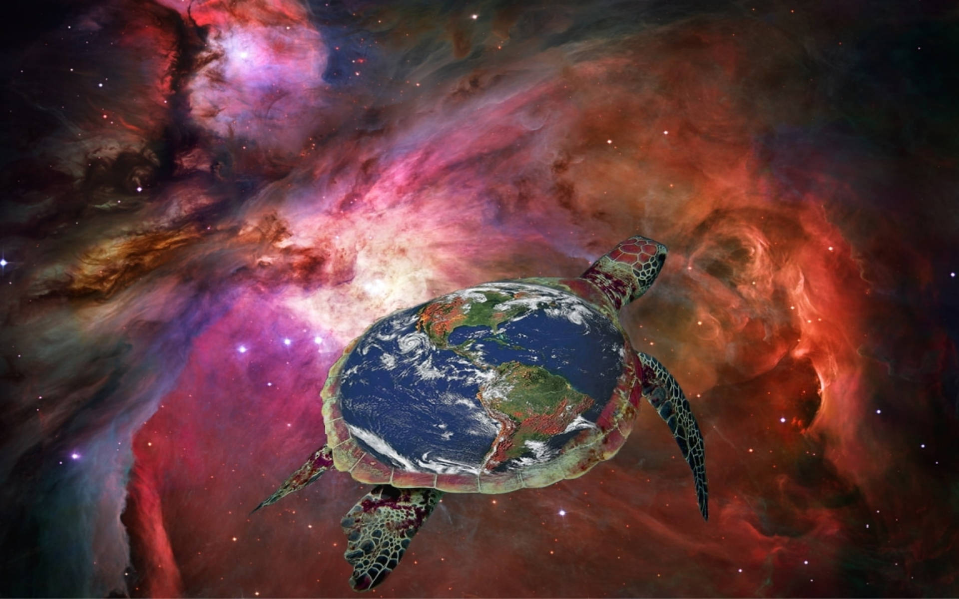 Sej Skildpadde Svævende i Kosmos Wallpapers