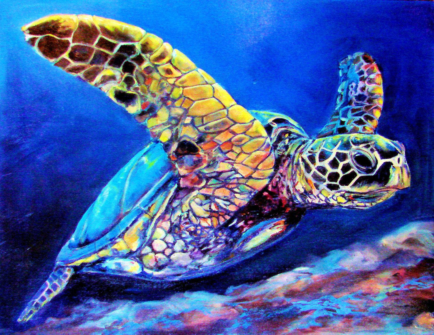 Sej Skildpadde Undervandsmaleri Wallpapers