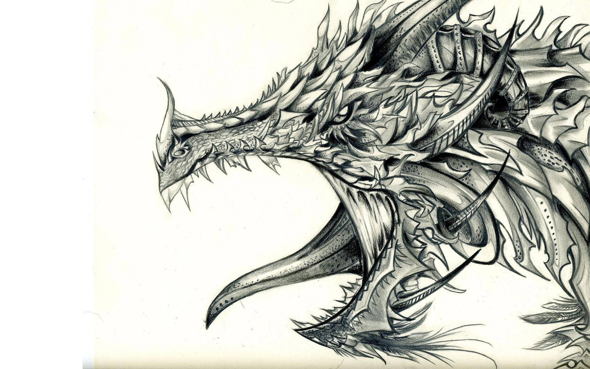 Sej Tegning af Pansret Drage Wallpapers