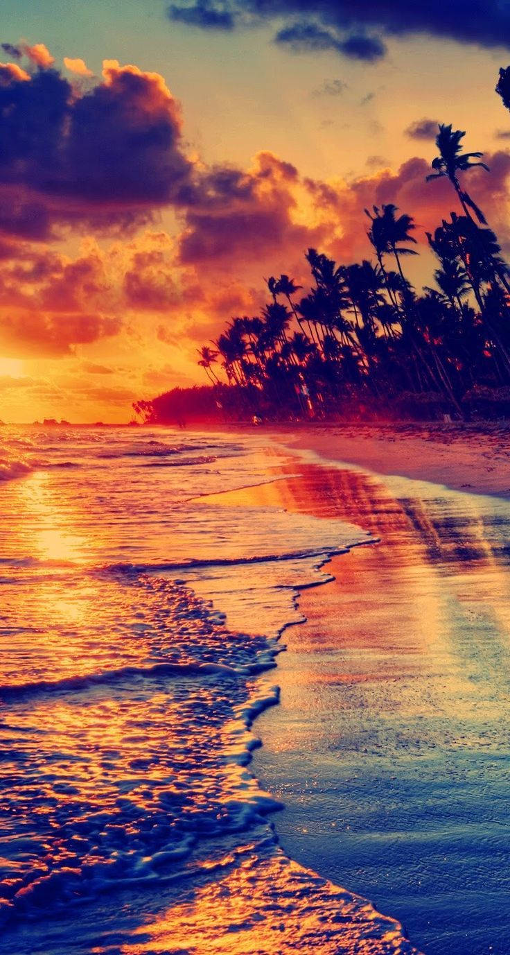 Sej Telefon Solnedgang Wallpapers