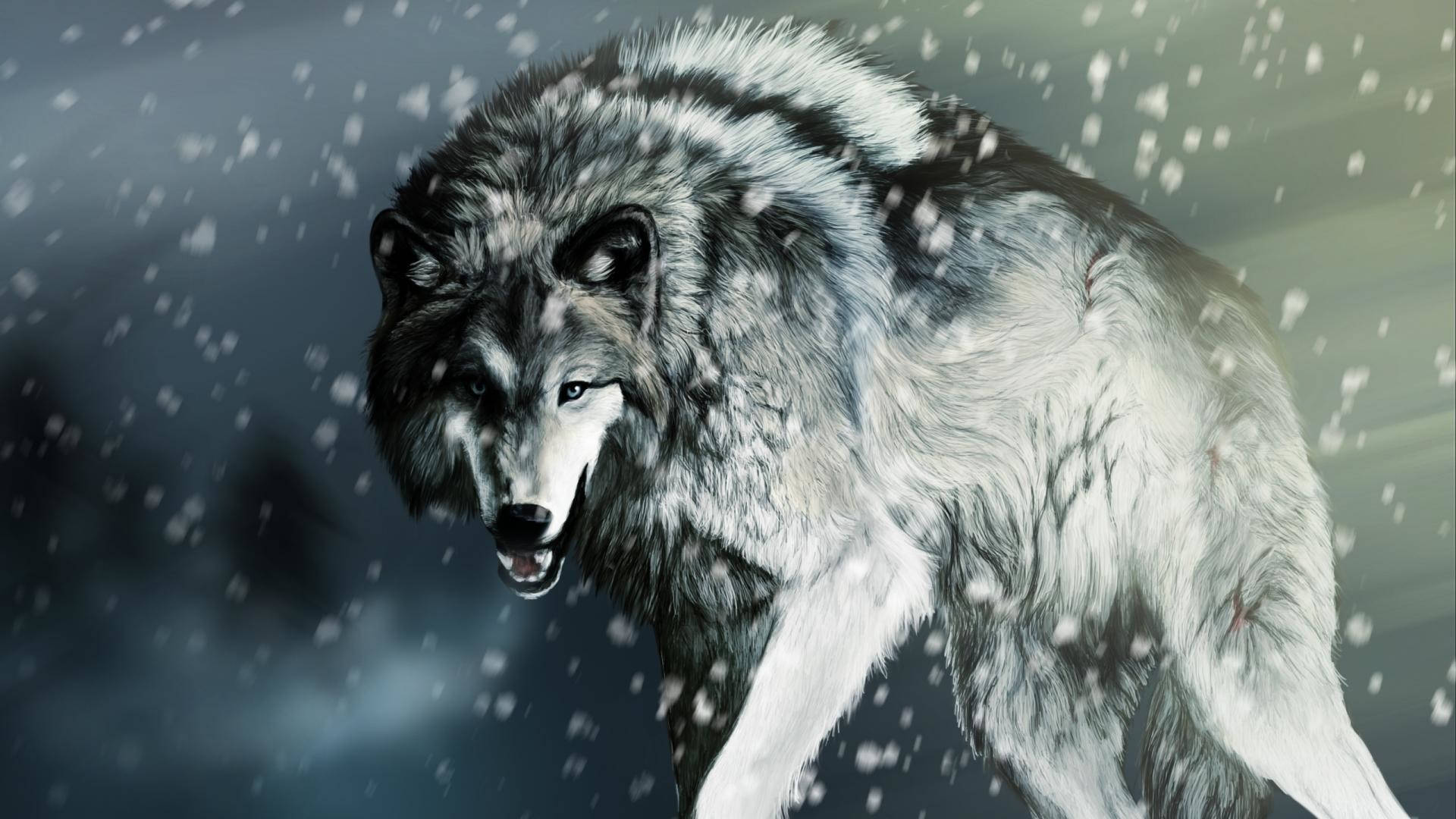 Sej ulv i sne Wallpapers