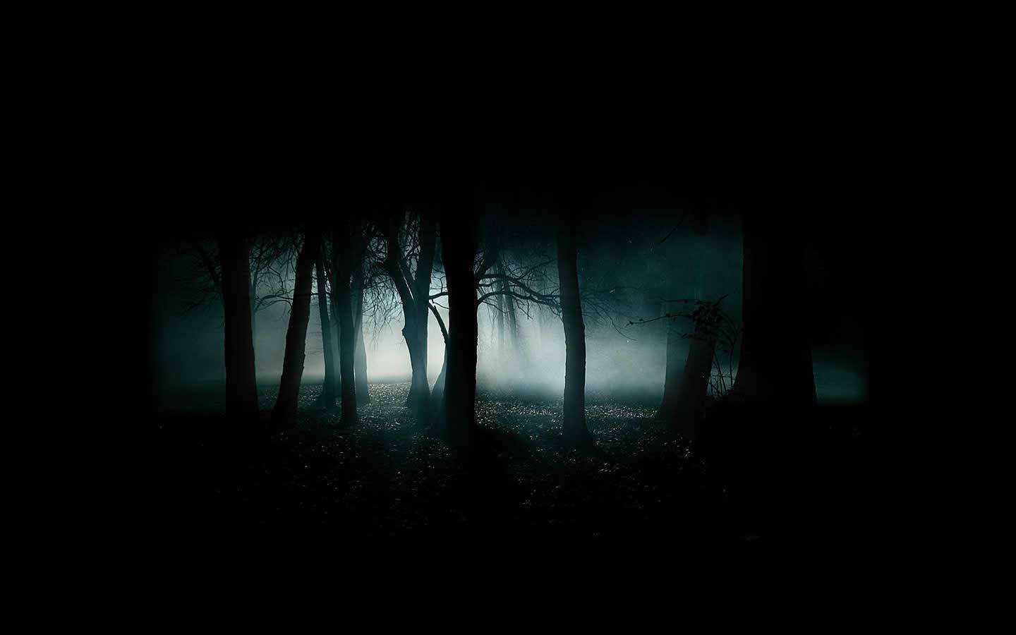 Seje mørke træsilhuetter Wallpapers