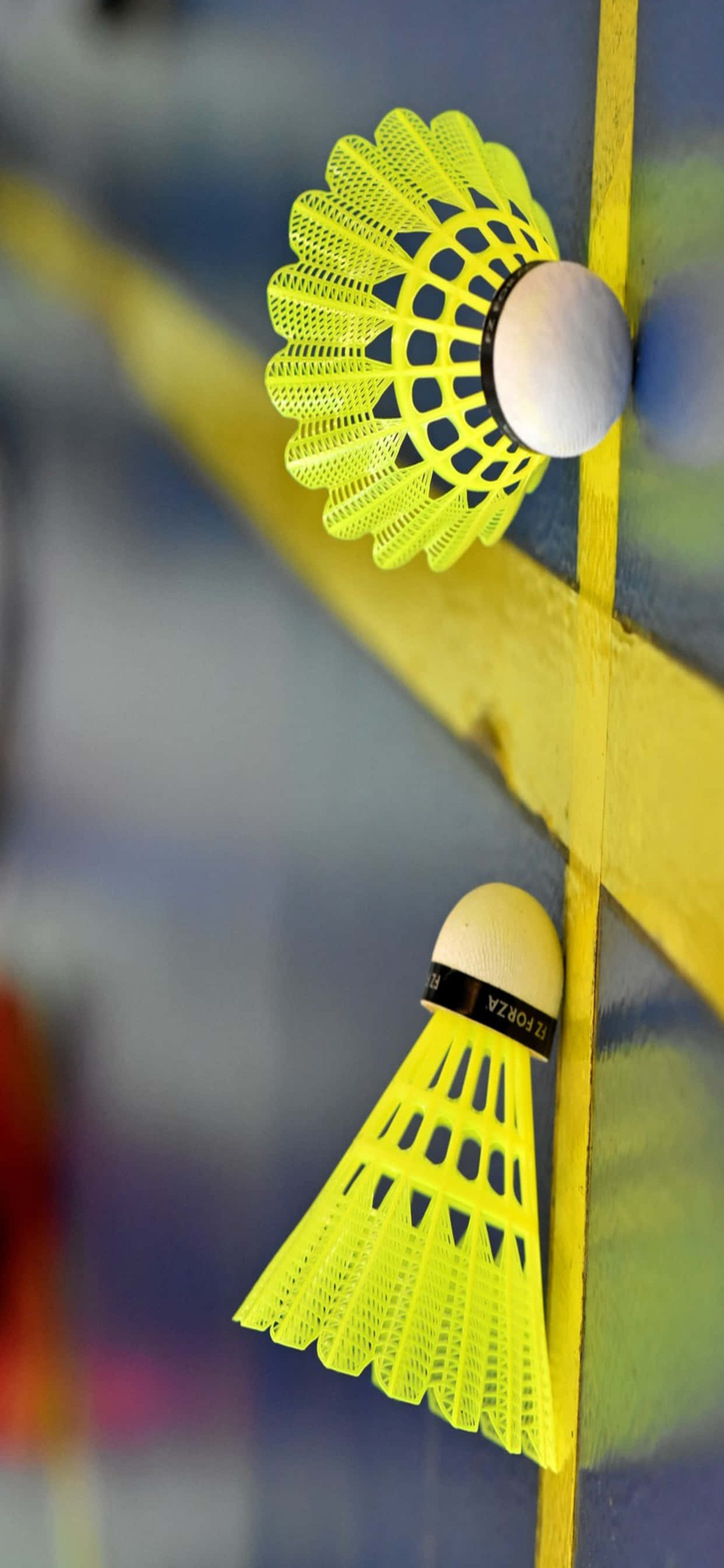 Sejrsfejring efter en spændende badmintonkamp Wallpapers