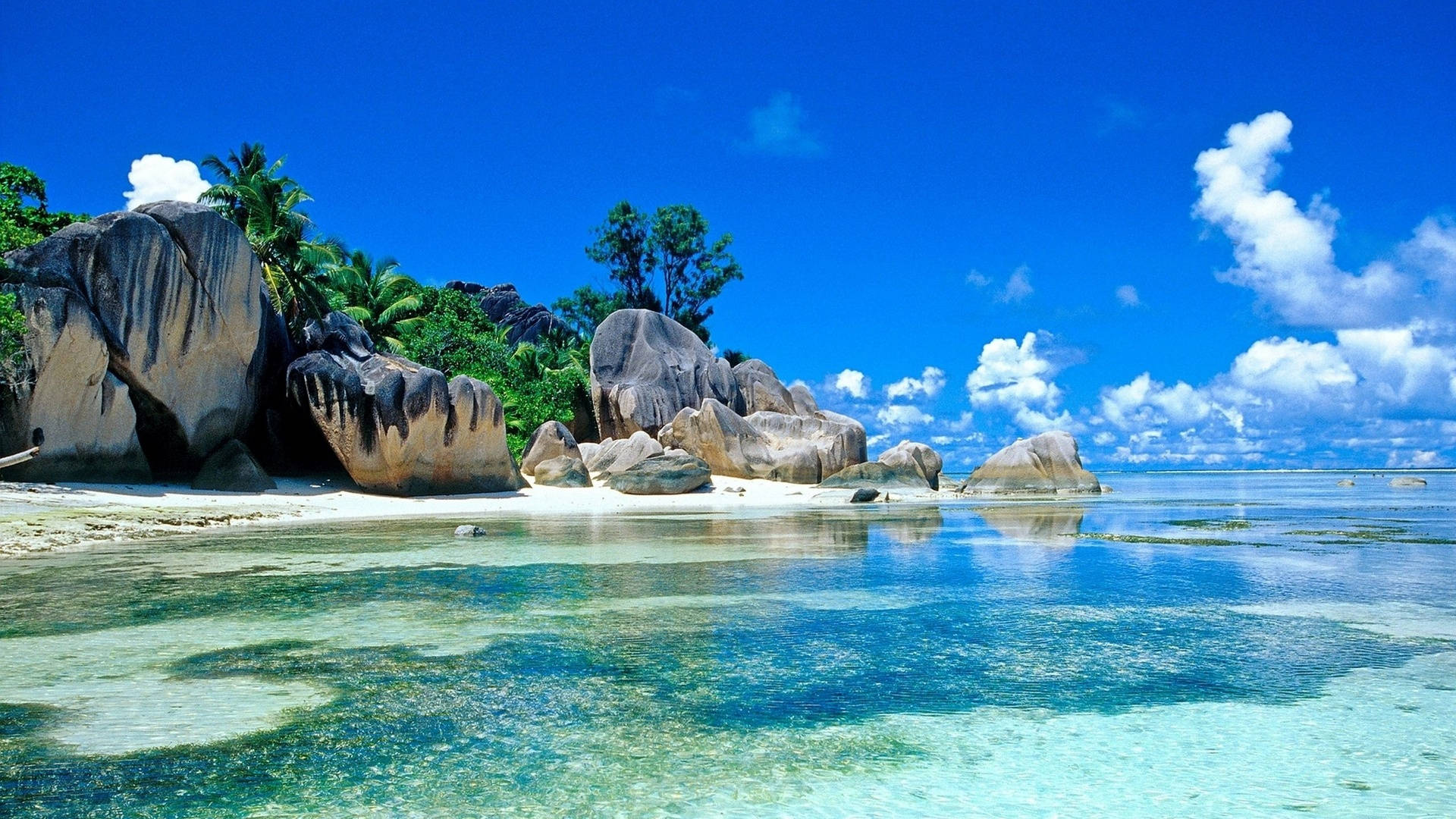 Seychellernes paradis: Strandskærmbeskytter Wallpapers
