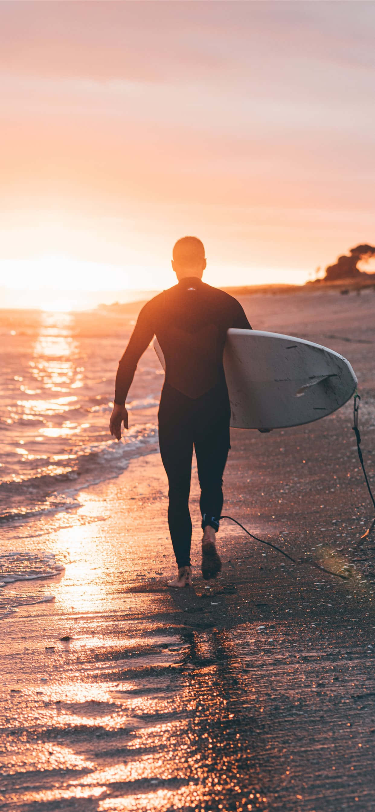 Silhuet af mand med surfbræt Wallpapers