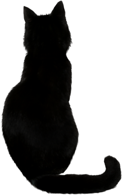 Silhuet af sort kat Wallpapers