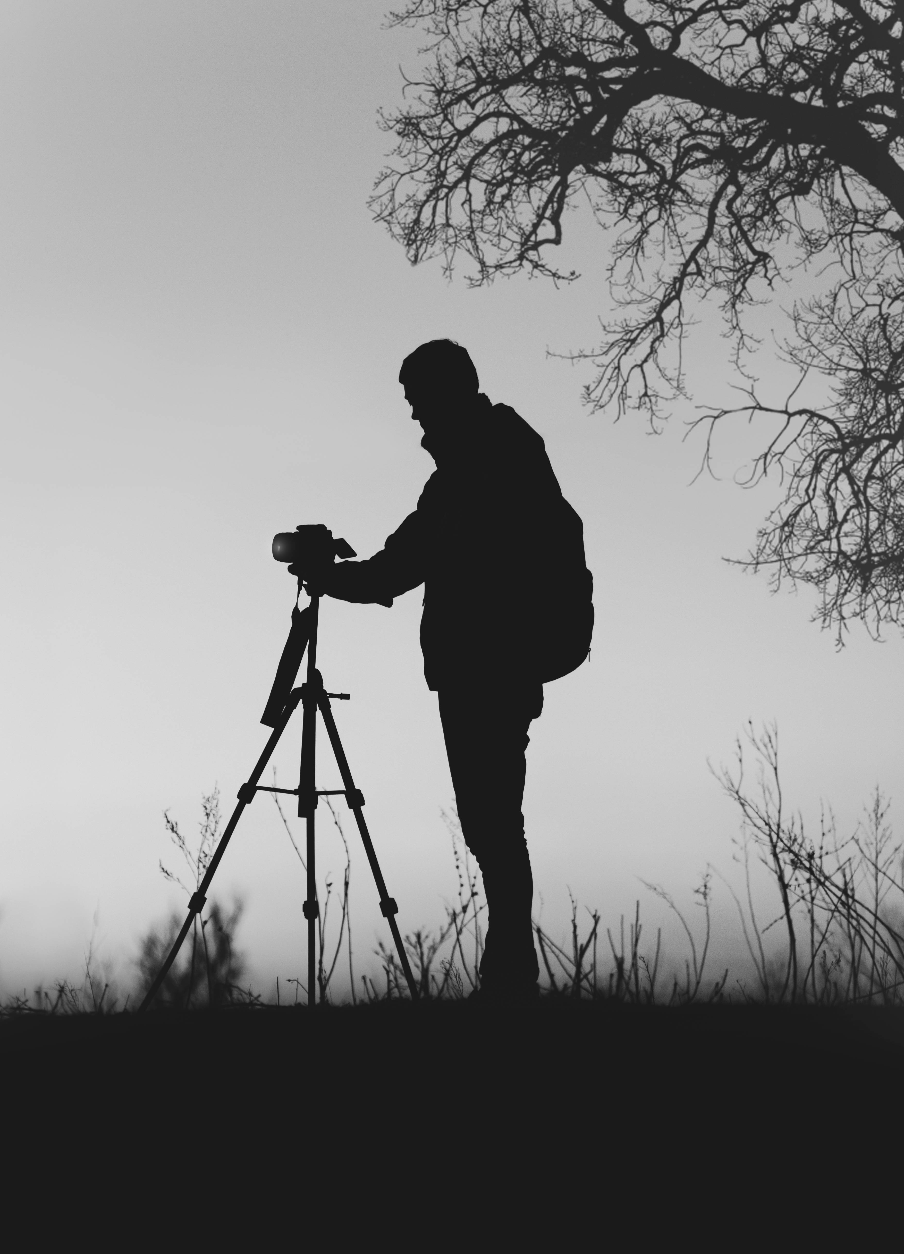 Silhuet gråtoner fotografi Wallpapers