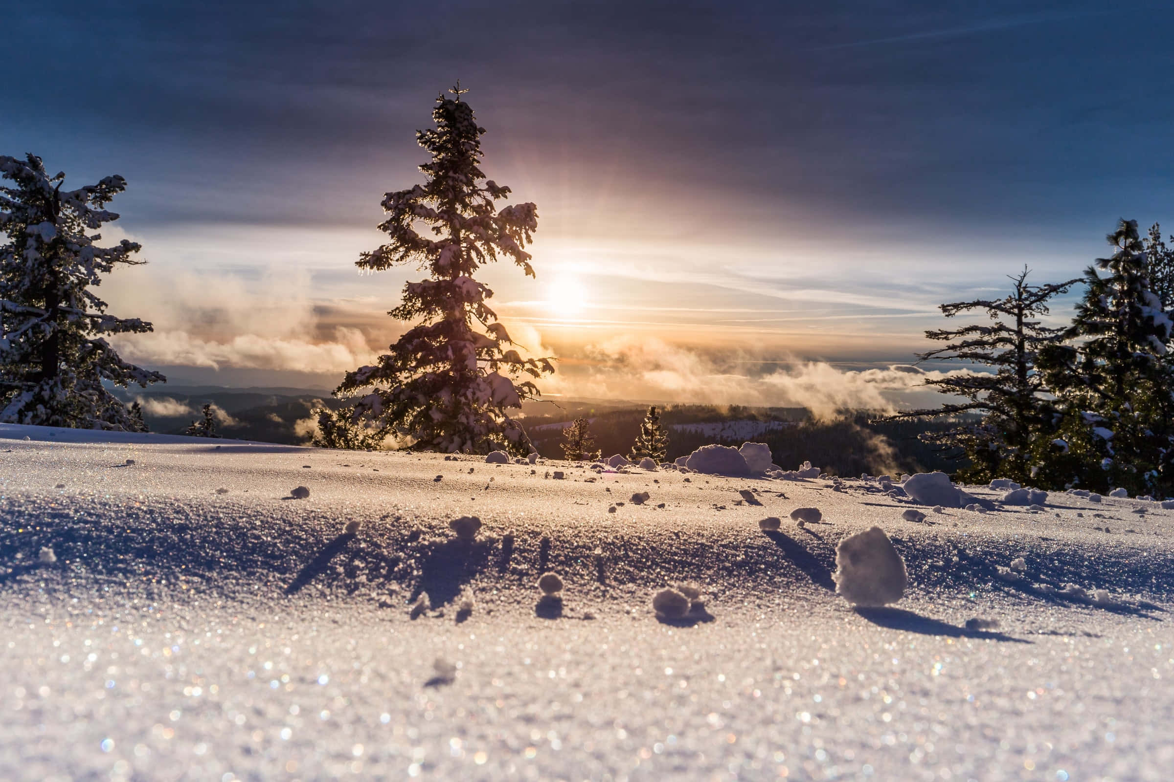 Silhuettræer og sneoverflade baggrund Wallpapers
