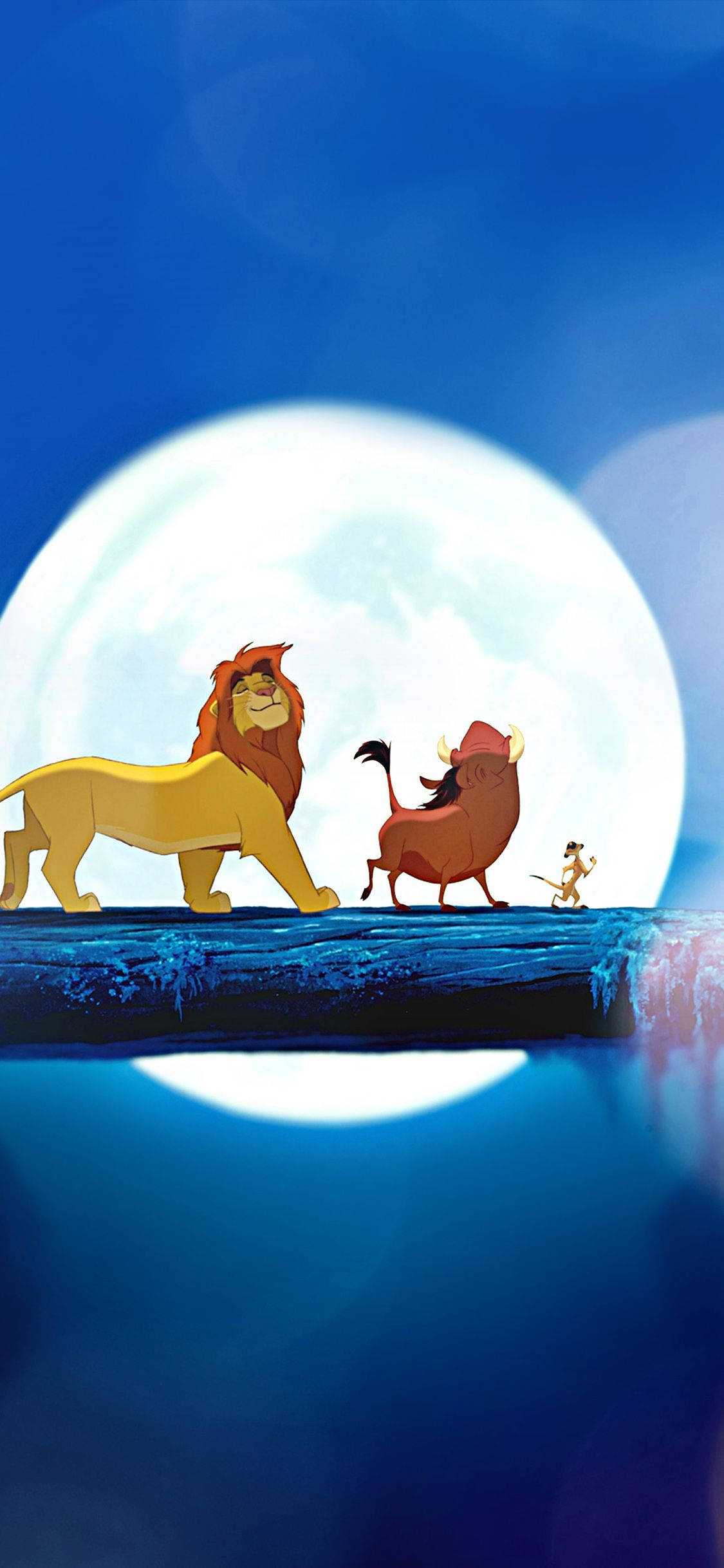 Simba ser solopgangen over savannen Wallpapers