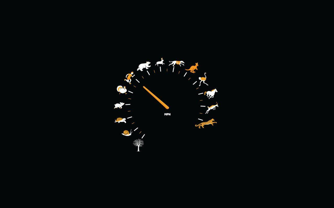 Simpel sort speedometer med dyr Wallpapers