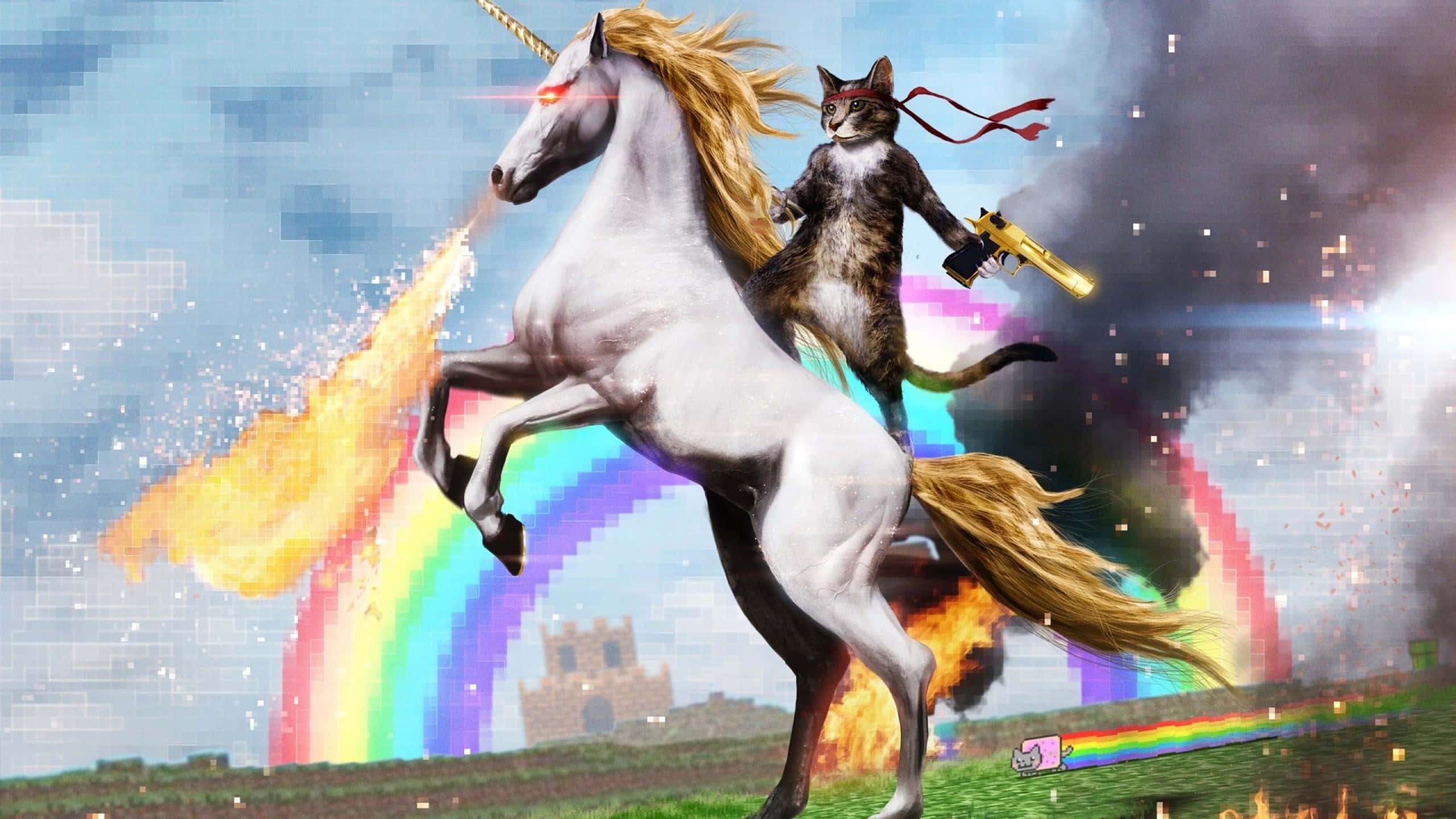 Sjov enhjørning og kat baggrund Wallpapers