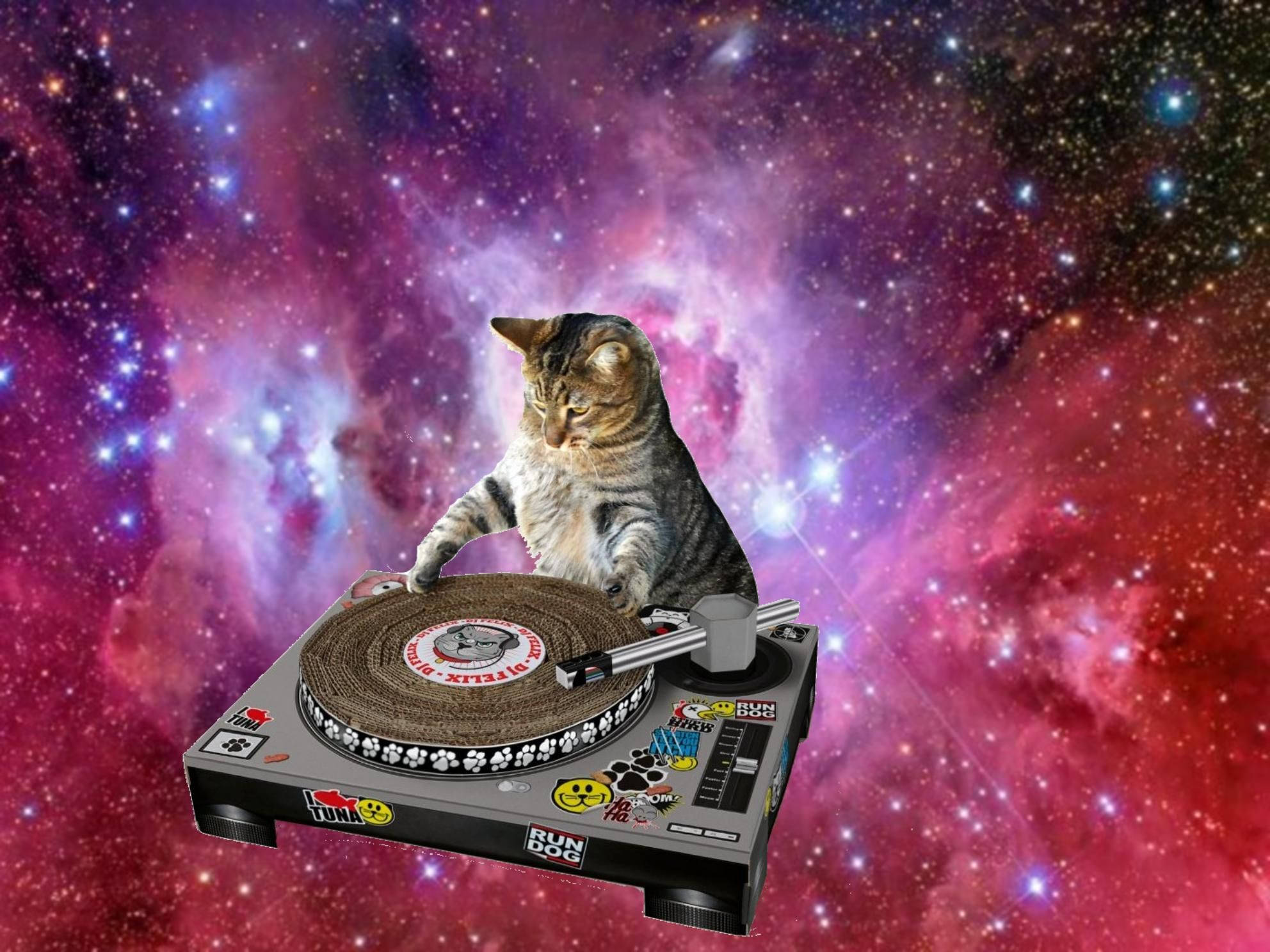 Sjov kat som DJ i rummet Wallpapers