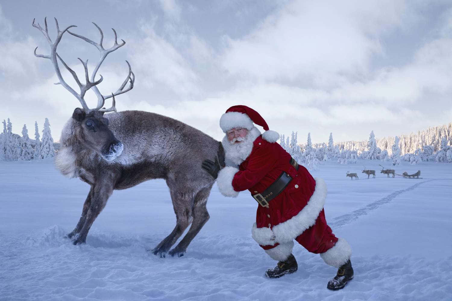 Sjove julebilleder Wallpapers