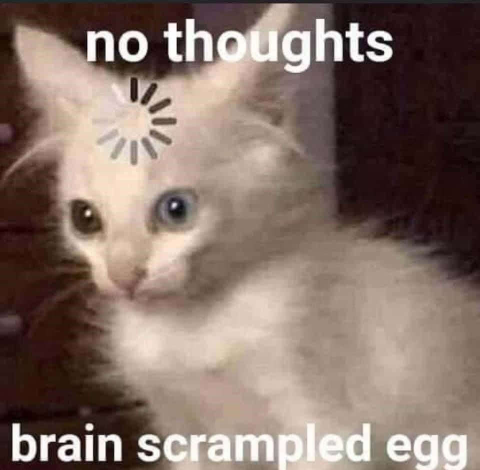 Sjove memes med tænkende kat og indlæsningsikon Wallpapers