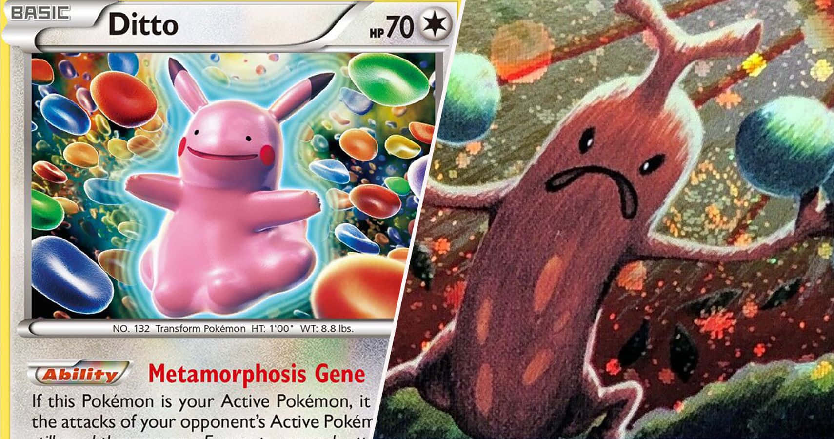Sjovt Pokemon Ditto billede Wallpapers