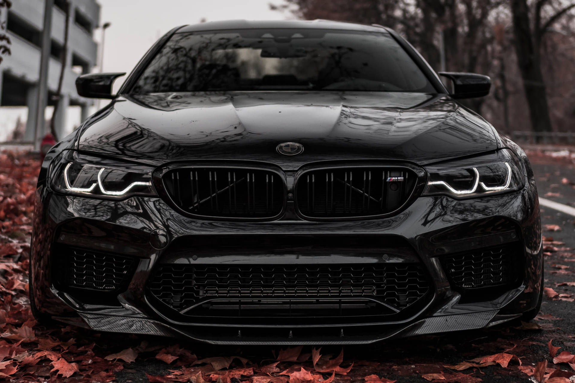 Skinnende Sort BMW M5 Laptop — Bmw Wallpapers