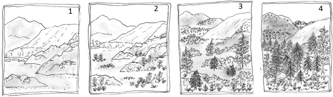 Skitser af økologisk succession Wallpapers