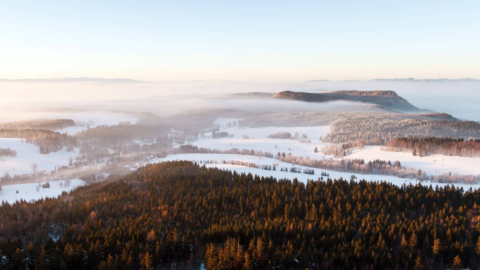 Skovområde i vinternatur Wallpapers