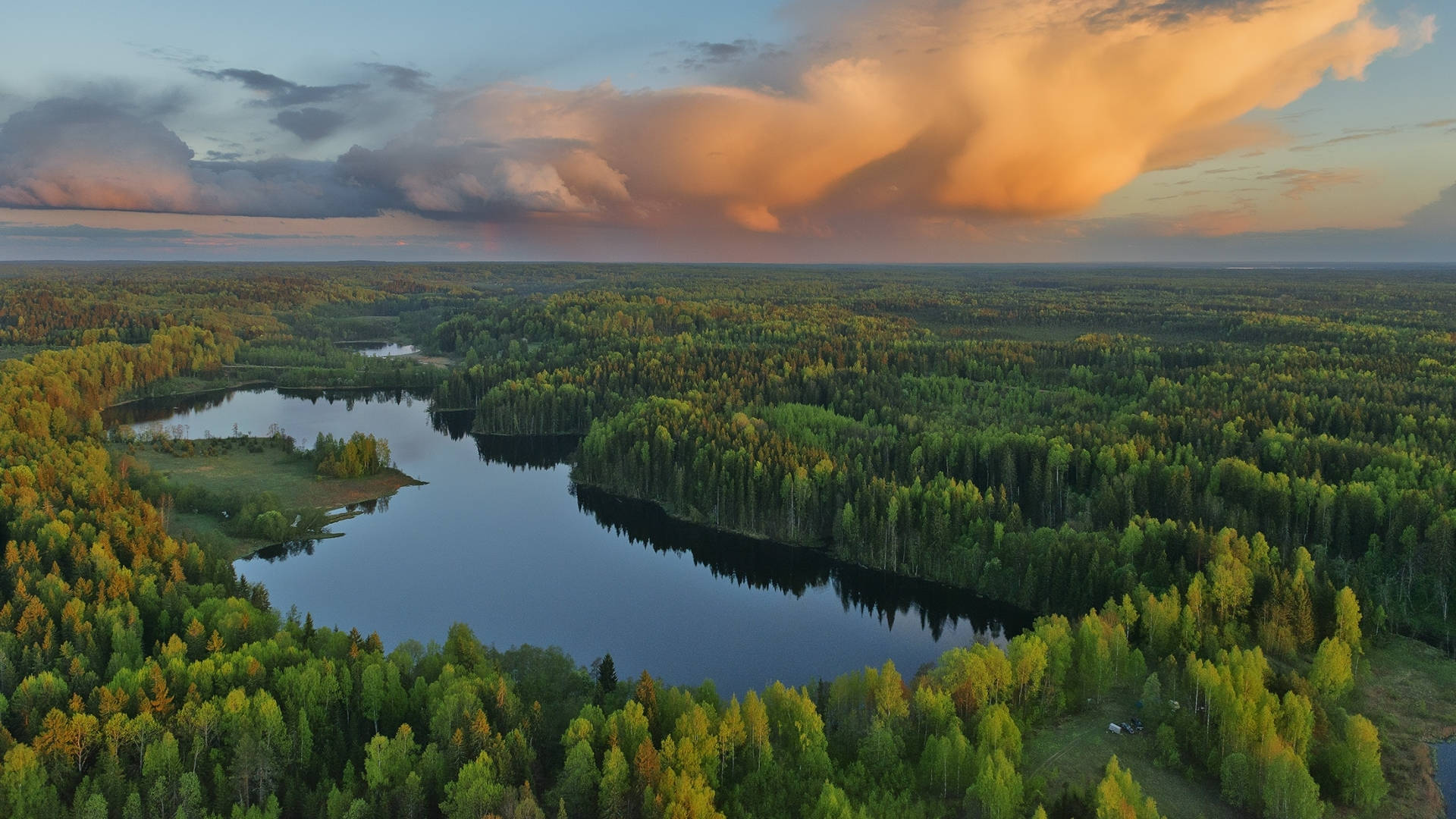 Skovudsigt med sø Wallpapers