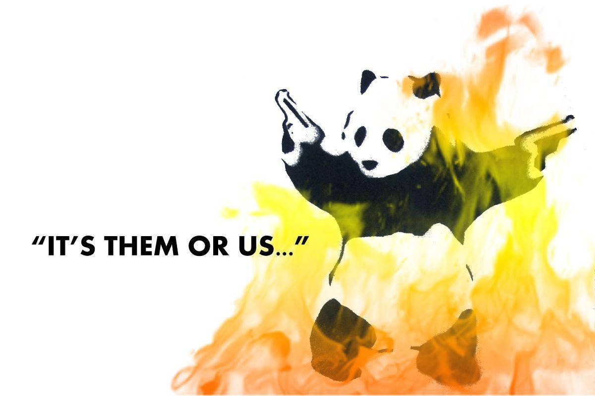 Skør Panda Flammer Meme Wallpapers